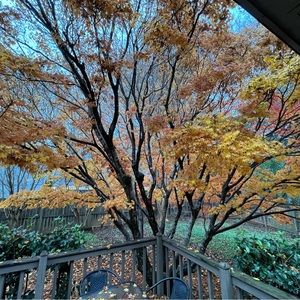 Meet your Posher, James c